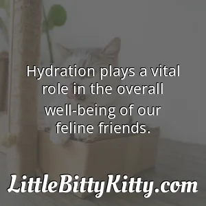 Hydration plays a vital role in the overall well-being of our feline friends.