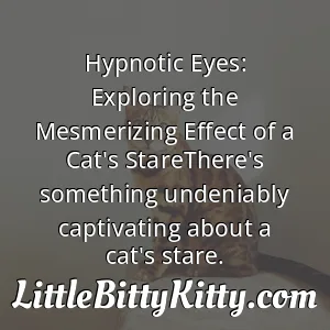 Hypnotic Eyes: Exploring the Mesmerizing Effect of a Cat's StareThere's something undeniably captivating about a cat's stare.