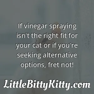 If vinegar spraying isn't the right fit for your cat or if you're seeking alternative options, fret not!