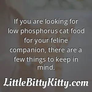If you are looking for low phosphorus cat food for your feline companion, there are a few things to keep in mind.