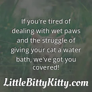 If you're tired of dealing with wet paws and the struggle of giving your cat a water bath, we've got you covered!