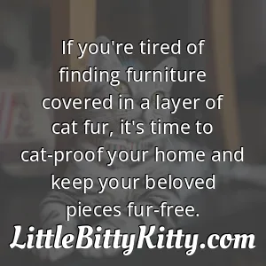 If you're tired of finding furniture covered in a layer of cat fur, it's time to cat-proof your home and keep your beloved pieces fur-free.