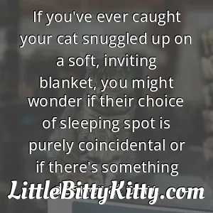 If you've ever caught your cat snuggled up on a soft, inviting blanket, you might wonder if their choice of sleeping spot is purely coincidental or if there's something deeper at play.