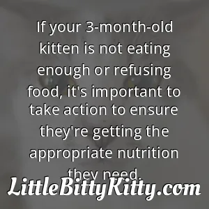 If your 3-month-old kitten is not eating enough or refusing food, it's important to take action to ensure they're getting the appropriate nutrition they need.