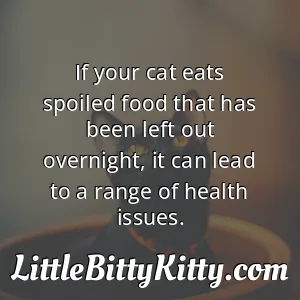 If your cat eats spoiled food that has been left out overnight, it can lead to a range of health issues.