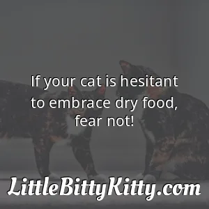 If your cat is hesitant to embrace dry food, fear not!