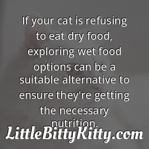 If your cat is refusing to eat dry food, exploring wet food options can be a suitable alternative to ensure they're getting the necessary nutrition.
