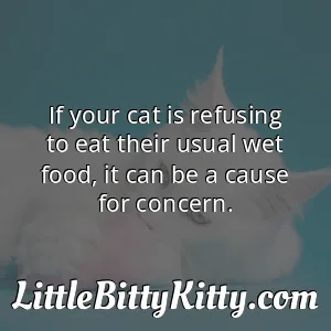 If your cat is refusing to eat their usual wet food, it can be a cause for concern.