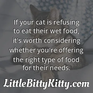 If your cat is refusing to eat their wet food, it's worth considering whether you're offering the right type of food for their needs.