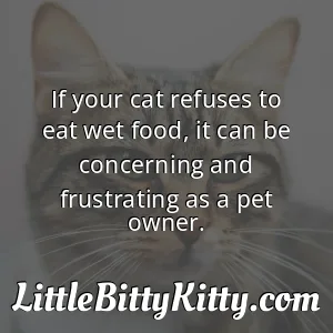 If your cat refuses to eat wet food, it can be concerning and frustrating as a pet owner.