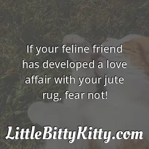 If your feline friend has developed a love affair with your jute rug, fear not!