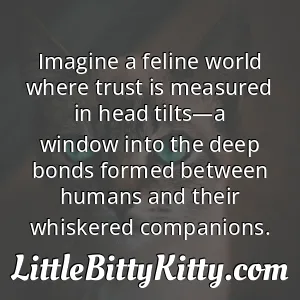 Imagine a feline world where trust is measured in head tilts—a window into the deep bonds formed between humans and their whiskered companions.