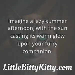 Imagine a lazy summer afternoon, with the sun casting its warm glow upon your furry companion.