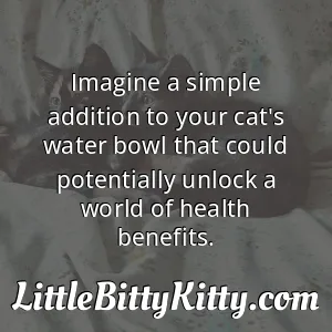 Imagine a simple addition to your cat's water bowl that could potentially unlock a world of health benefits.