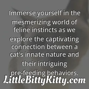 Immerse yourself in the mesmerizing world of feline instincts as we explore the captivating connection between a cat's innate nature and their intriguing pre-feeding behaviors.