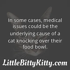 In some cases, medical issues could be the underlying cause of a cat knocking over their food bowl.