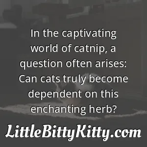 In the captivating world of catnip, a question often arises: Can cats truly become dependent on this enchanting herb?