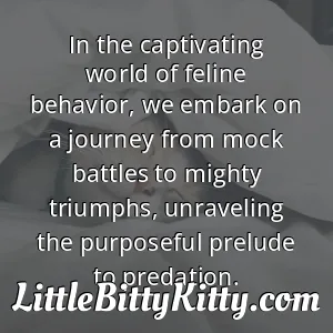 In the captivating world of feline behavior, we embark on a journey from mock battles to mighty triumphs, unraveling the purposeful prelude to predation.