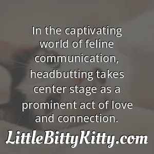 In the captivating world of feline communication, headbutting takes center stage as a prominent act of love and connection.