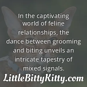 In the captivating world of feline relationships, the dance between grooming and biting unveils an intricate tapestry of mixed signals.