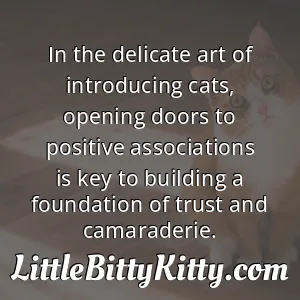 In the delicate art of introducing cats, opening doors to positive associations is key to building a foundation of trust and camaraderie.