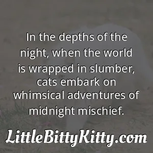 In the depths of the night, when the world is wrapped in slumber, cats embark on whimsical adventures of midnight mischief.