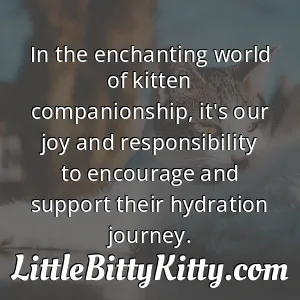 In the enchanting world of kitten companionship, it's our joy and responsibility to encourage and support their hydration journey.