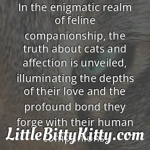 In the enigmatic realm of feline companionship, the truth about cats and affection is unveiled, illuminating the depths of their love and the profound bond they forge with their human companions.