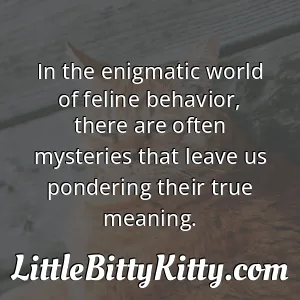 In the enigmatic world of feline behavior, there are often mysteries that leave us pondering their true meaning.