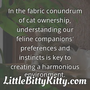 In the fabric conundrum of cat ownership, understanding our feline companions' preferences and instincts is key to creating a harmonious environment.