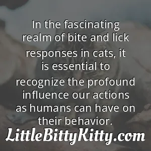 In the fascinating realm of bite and lick responses in cats, it is essential to recognize the profound influence our actions as humans can have on their behavior.