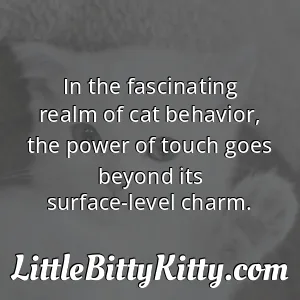 In the fascinating realm of cat behavior, the power of touch goes beyond its surface-level charm.