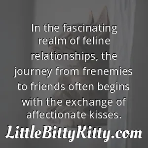 In the fascinating realm of feline relationships, the journey from frenemies to friends often begins with the exchange of affectionate kisses.