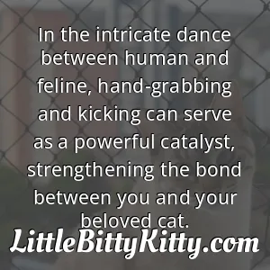In the intricate dance between human and feline, hand-grabbing and kicking can serve as a powerful catalyst, strengthening the bond between you and your beloved cat.