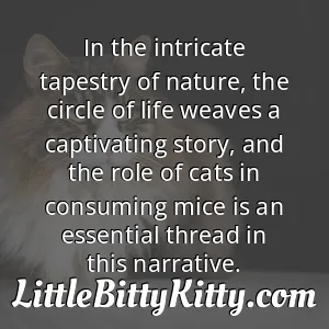 In the intricate tapestry of nature, the circle of life weaves a captivating story, and the role of cats in consuming mice is an essential thread in this narrative.