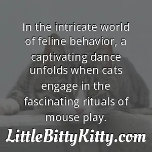 In the intricate world of feline behavior, a captivating dance unfolds when cats engage in the fascinating rituals of mouse play.