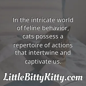 In the intricate world of feline behavior, cats possess a repertoire of actions that intertwine and captivate us.