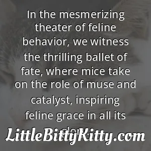 In the mesmerizing theater of feline behavior, we witness the thrilling ballet of fate, where mice take on the role of muse and catalyst, inspiring feline grace in all its glory.