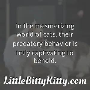 In the mesmerizing world of cats, their predatory behavior is truly captivating to behold.