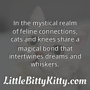 In the mystical realm of feline connections, cats and knees share a magical bond that intertwines dreams and whiskers.