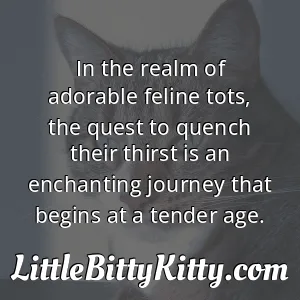 In the realm of adorable feline tots, the quest to quench their thirst is an enchanting journey that begins at a tender age.