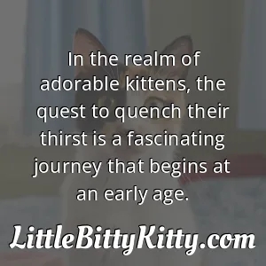 In the realm of adorable kittens, the quest to quench their thirst is a fascinating journey that begins at an early age.