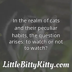 In the realm of cats and their peculiar habits, the question arises: to watch or not to watch?