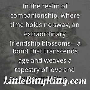 In the realm of companionship, where time holds no sway, an extraordinary friendship blossoms—a bond that transcends age and weaves a tapestry of love and understanding.