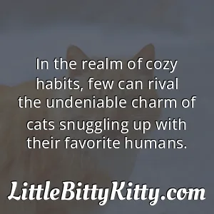 In the realm of cozy habits, few can rival the undeniable charm of cats snuggling up with their favorite humans.