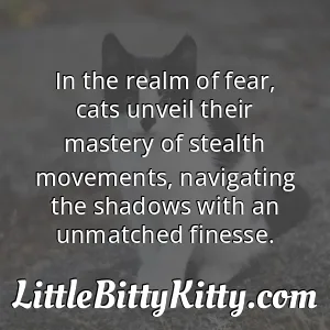 In the realm of fear, cats unveil their mastery of stealth movements, navigating the shadows with an unmatched finesse.