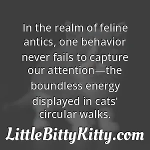 In the realm of feline antics, one behavior never fails to capture our attention—the boundless energy displayed in cats' circular walks.
