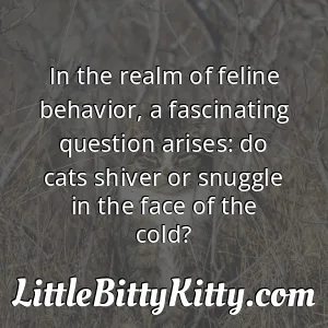 In the realm of feline behavior, a fascinating question arises: do cats shiver or snuggle in the face of the cold?
