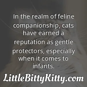 In the realm of feline companionship, cats have earned a reputation as gentle protectors, especially when it comes to infants.