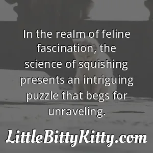In the realm of feline fascination, the science of squishing presents an intriguing puzzle that begs for unraveling.